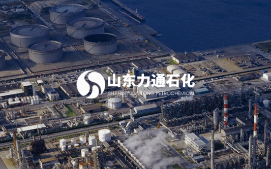 山东力通石化工程有限公司